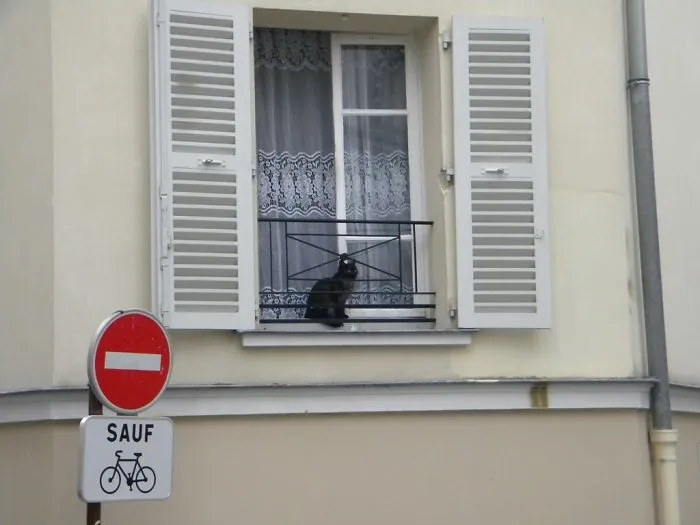 A View Of Paris