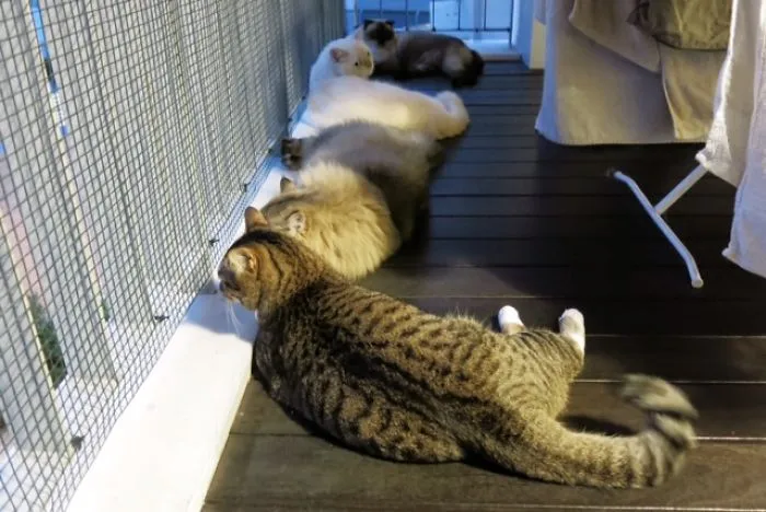 Hurry Home, We're Hungry.