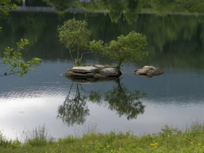 Reflections