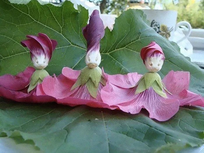 Duck Dancers