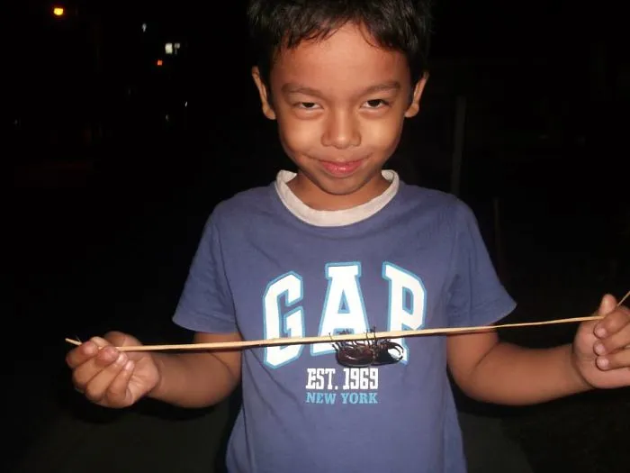 The Beetle And The Beetle Look (philippines)