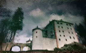 Share Your Best Reflected Photography