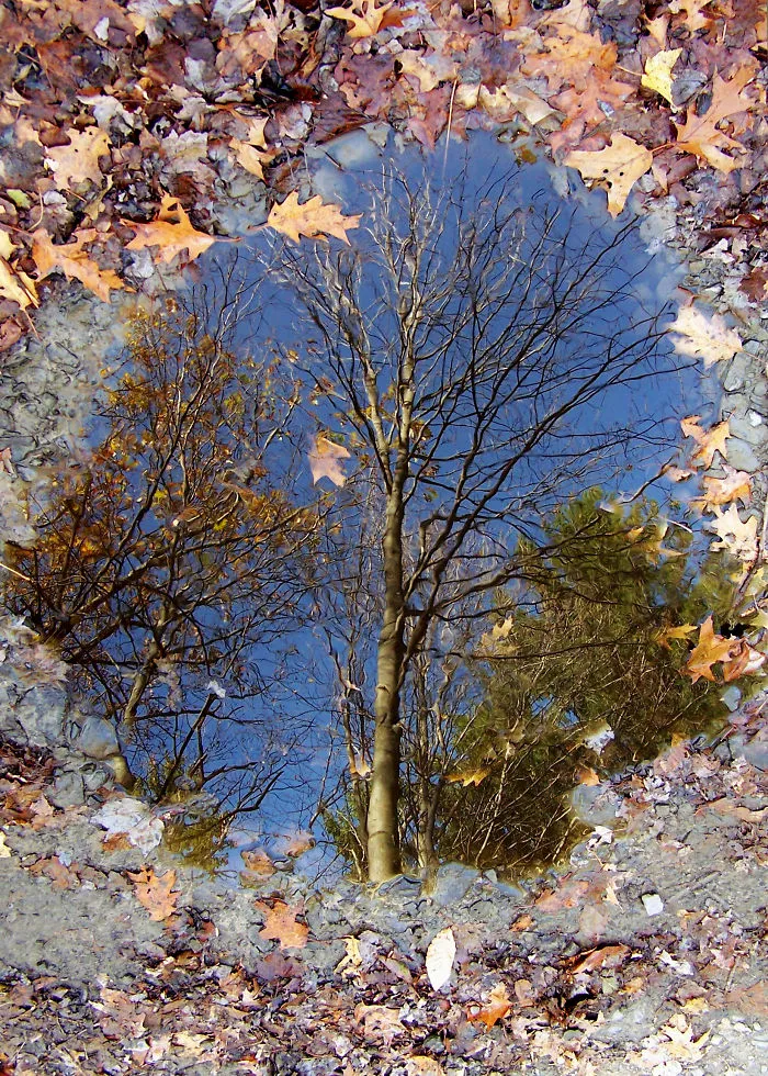 Azure Reflection