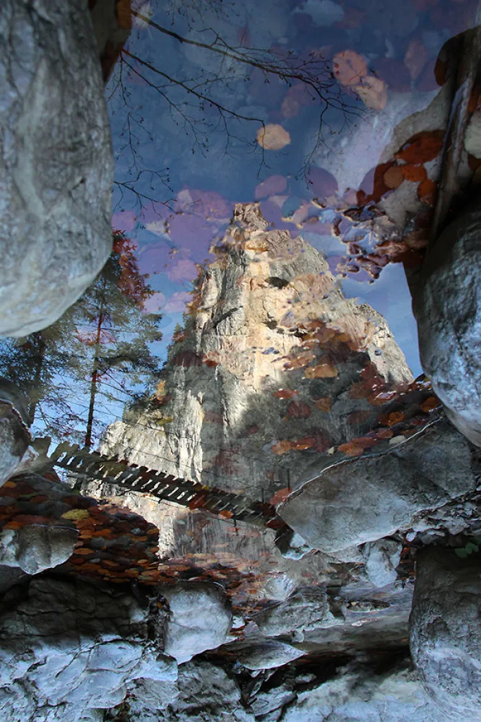 World In A Pond