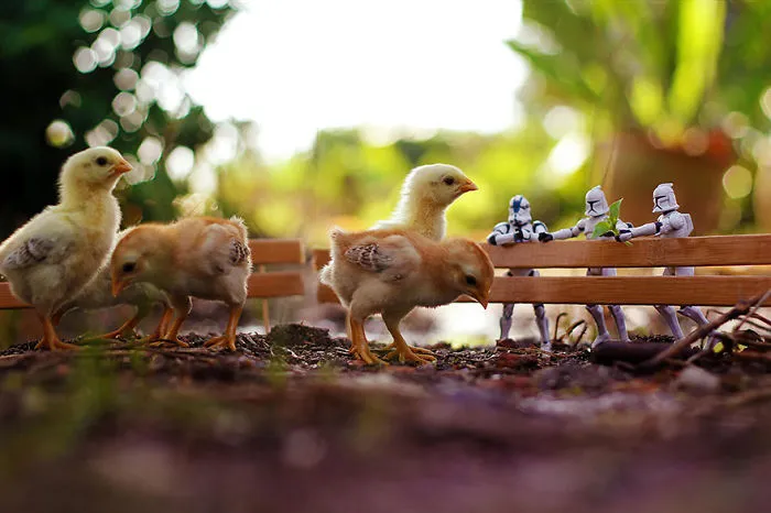 Search Miniature For More..........biach!!