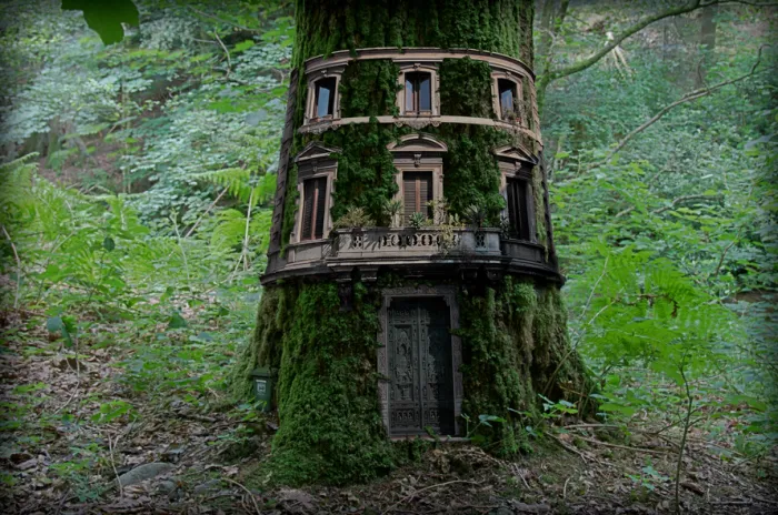 House Tree