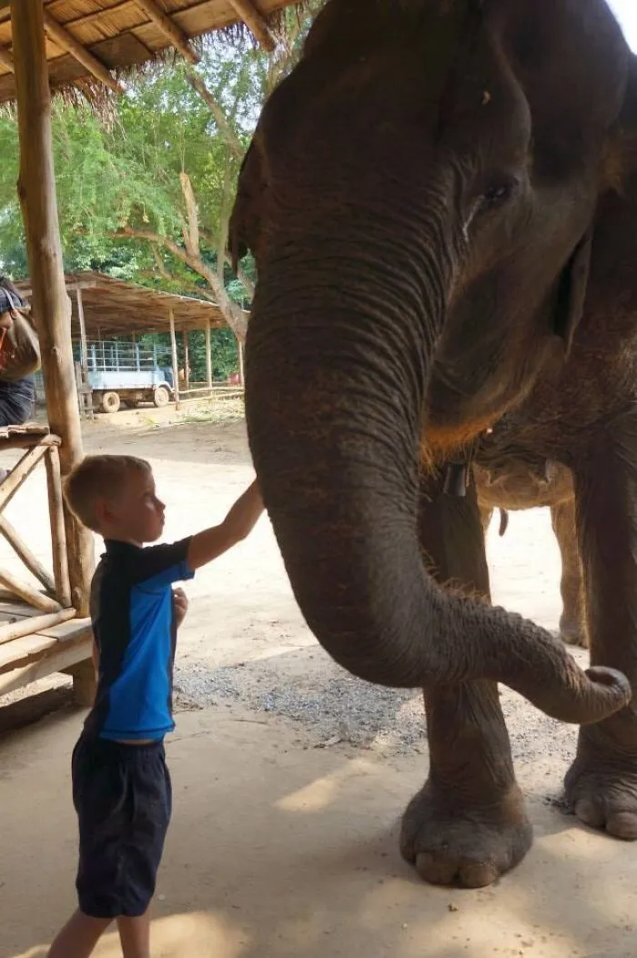 Boy Meets Elephant