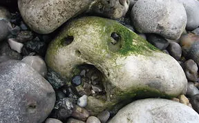 Do You Have Pareidolia? Post Faces In Everyday Objects
