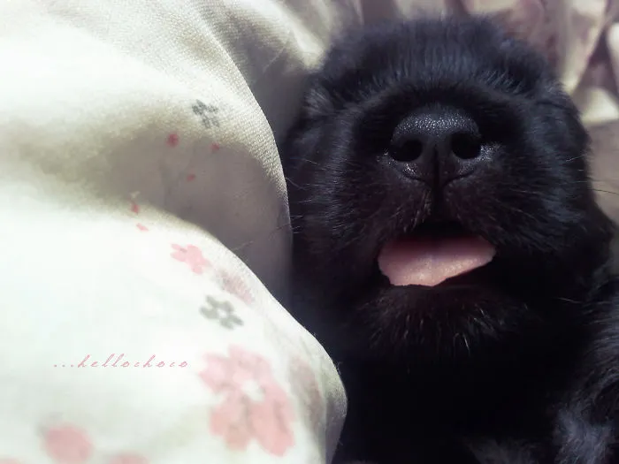 Mama I'm Sleepy