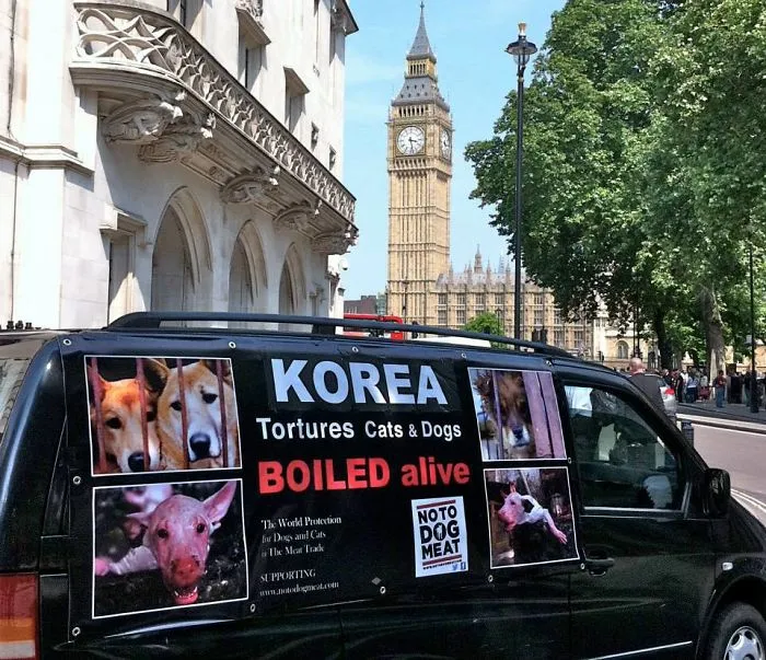 Torture Is Not Cool