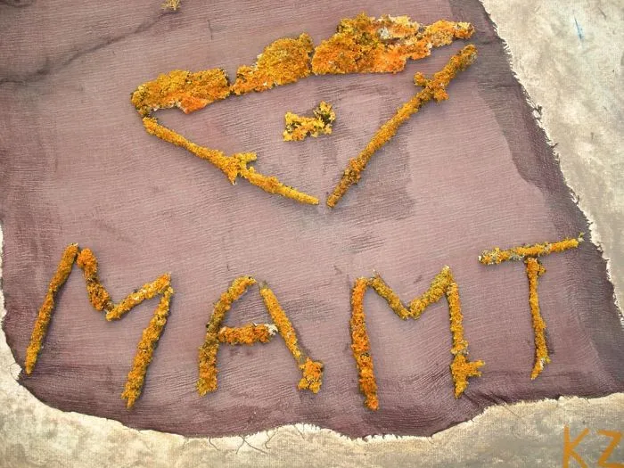 Macedonian Artist Uses Real Lichens In Paintings