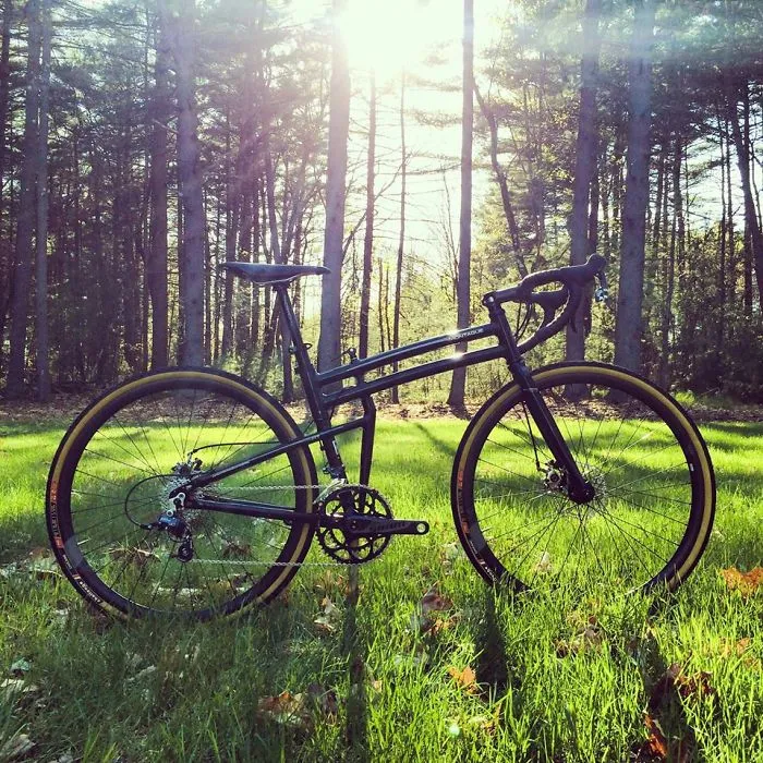 Simple Forest And Montague Boston Folding Bike