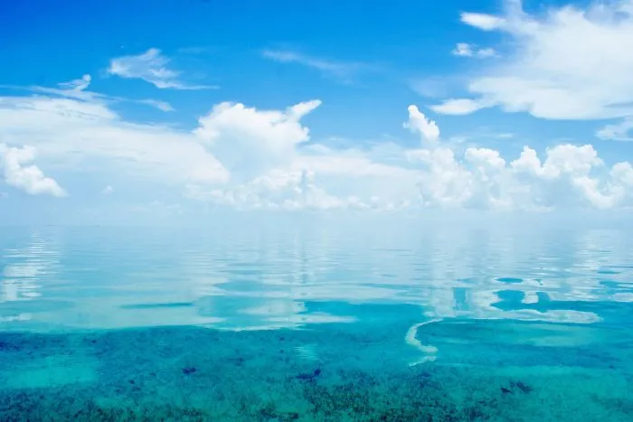 The Ocean Meets The Sky