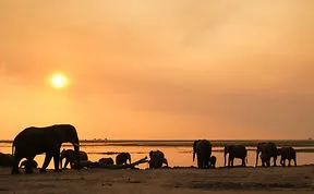 A Glimpse Of Africa