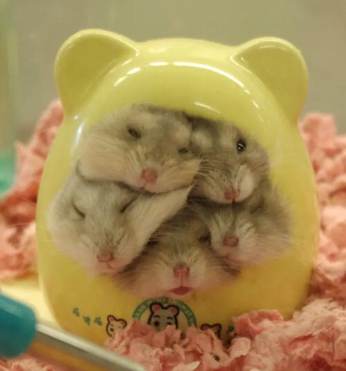 There's Room For 2 More!