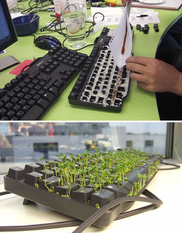 Green Keyboard