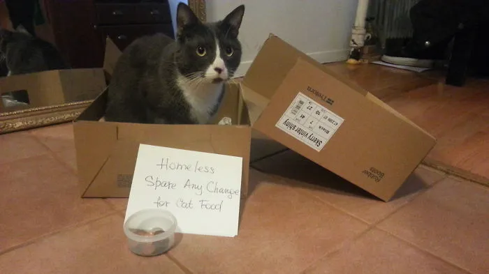 Homeless