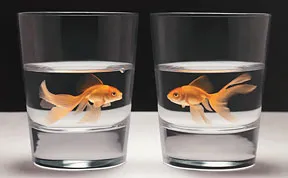 Hyperrealistic Oil Paintings By Patrick Kramer