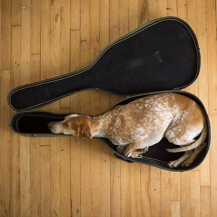 Post Funniest Examples Of 'if I Fits, I Sits' Situation
