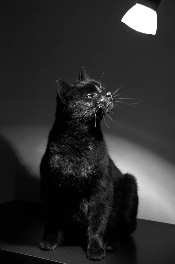 Shine A Light On Me