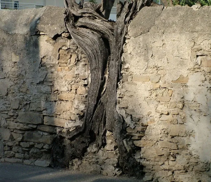 La Ciotat