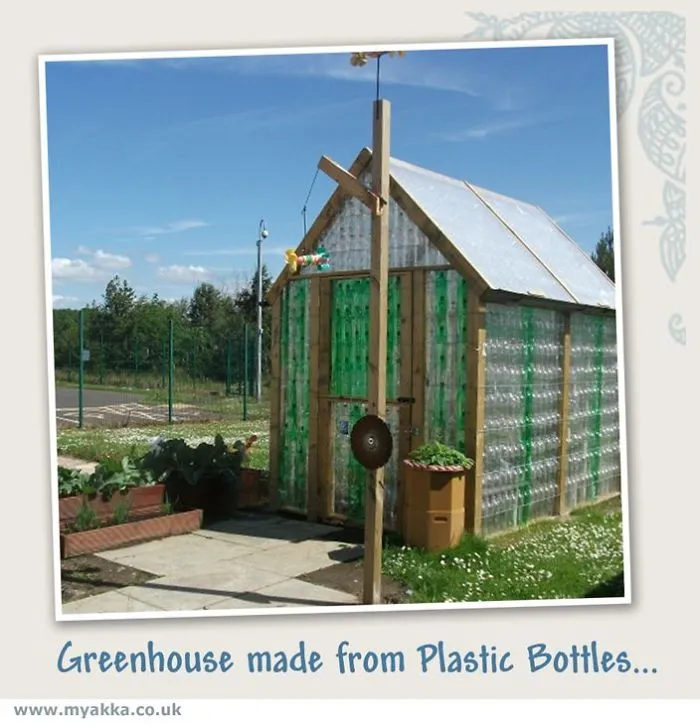 Greenhouse.