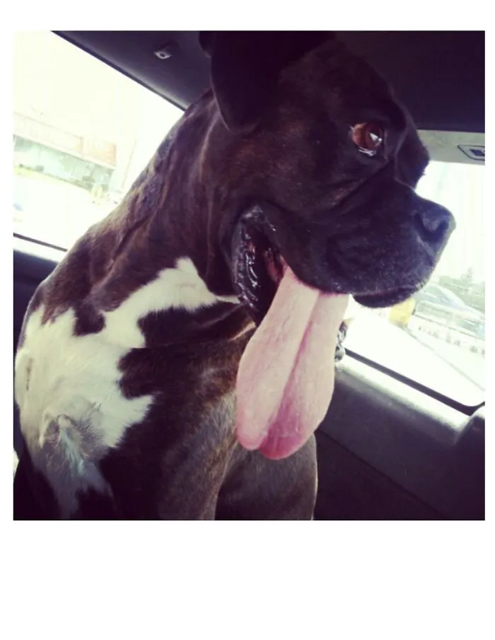 Saint Going To The Park.