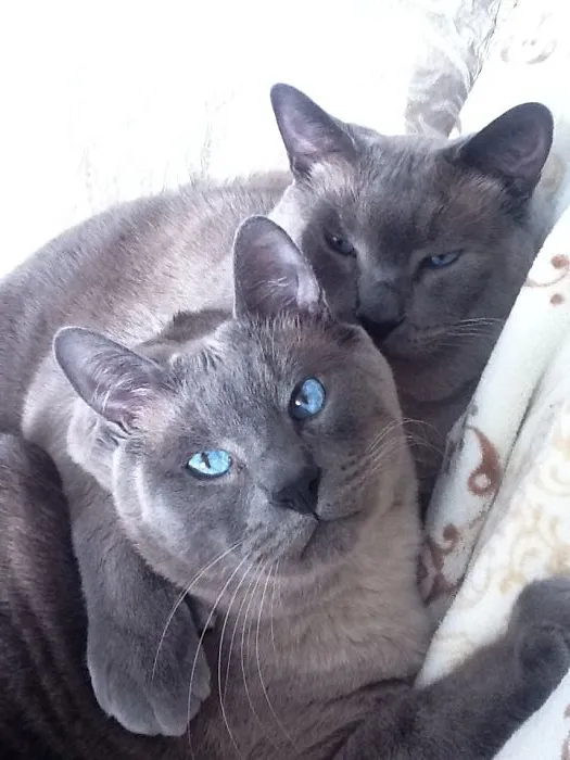 Brothers Keeping Company.
