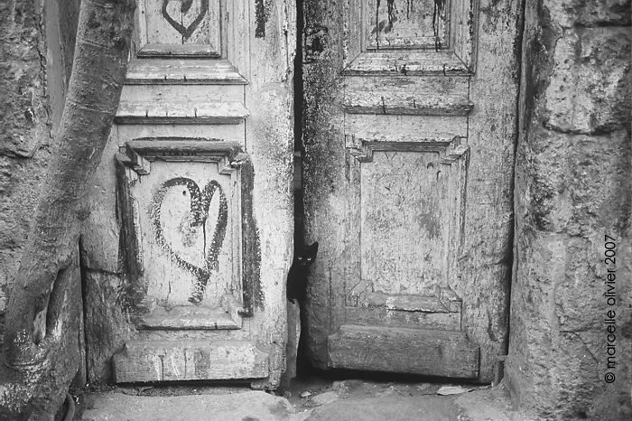 Cairo, Egypt.