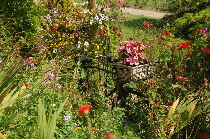 Flower Bike In Branscombe, Devon, England