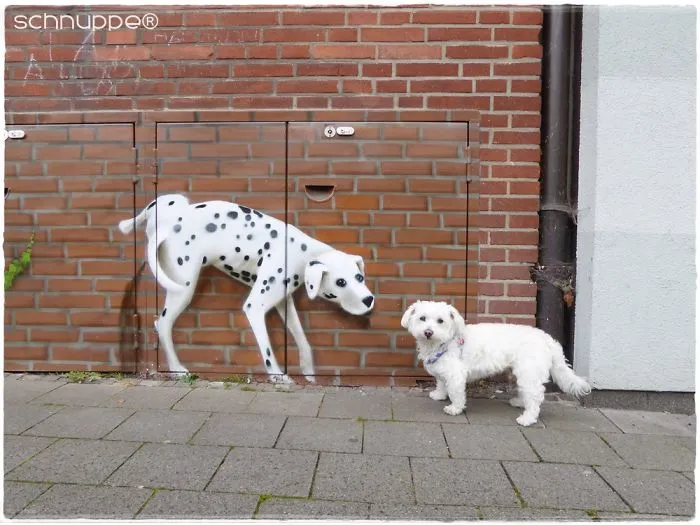 Heini Sais: " Hey Dude,  You Don't Pee On Houses'