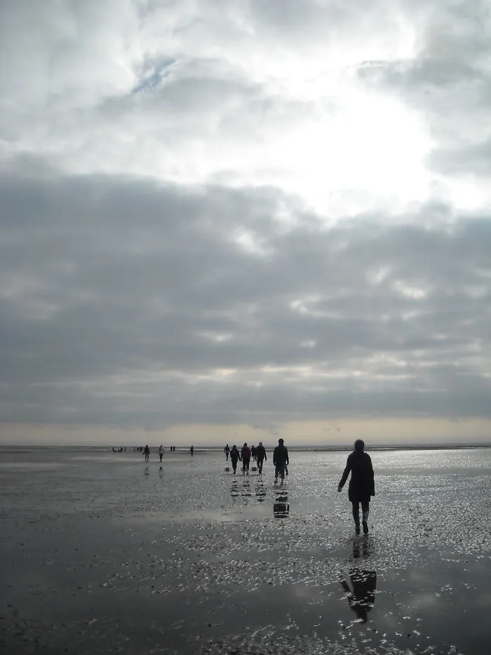 Getting Muddy In Ameland, The Netherlands