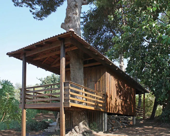 Tel Aviv Container Tree House
