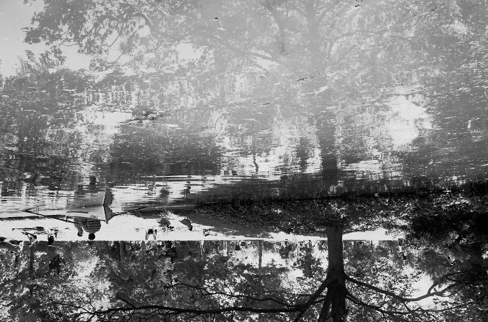 Duck Lake