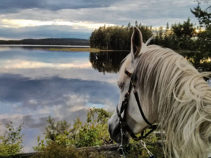 Tiveden, Sweden