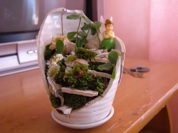 Fairy Garden