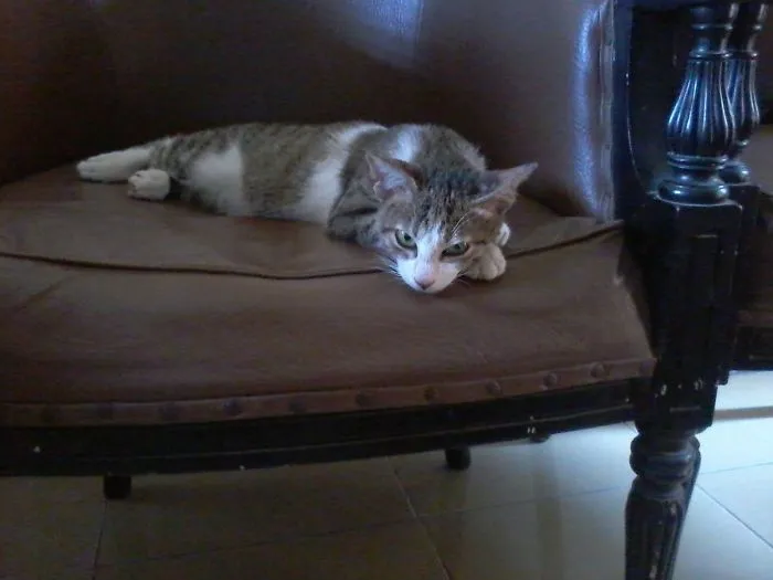 Lonely On Chair