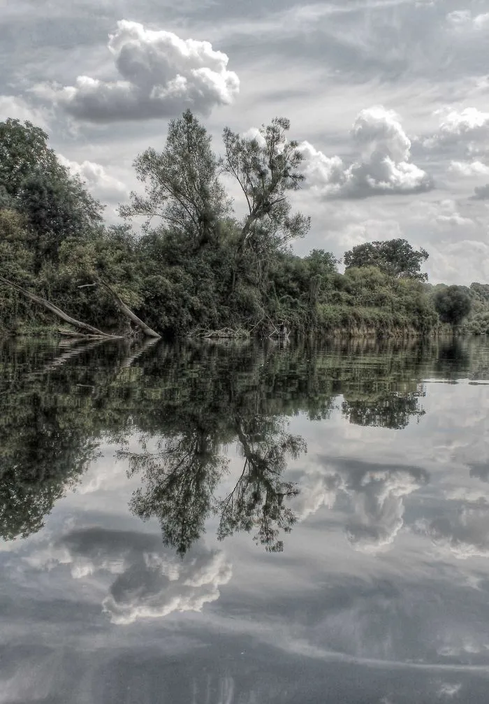 La Meuse (belgium)