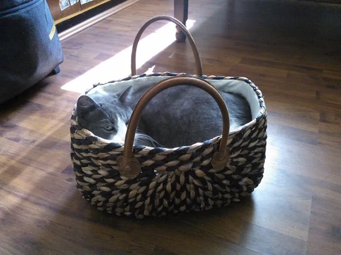 He Fits Everywhere :)