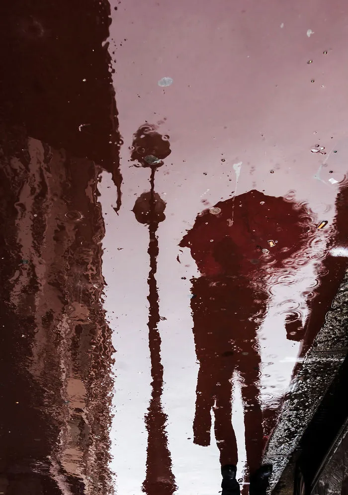 Reflection In The Pavement