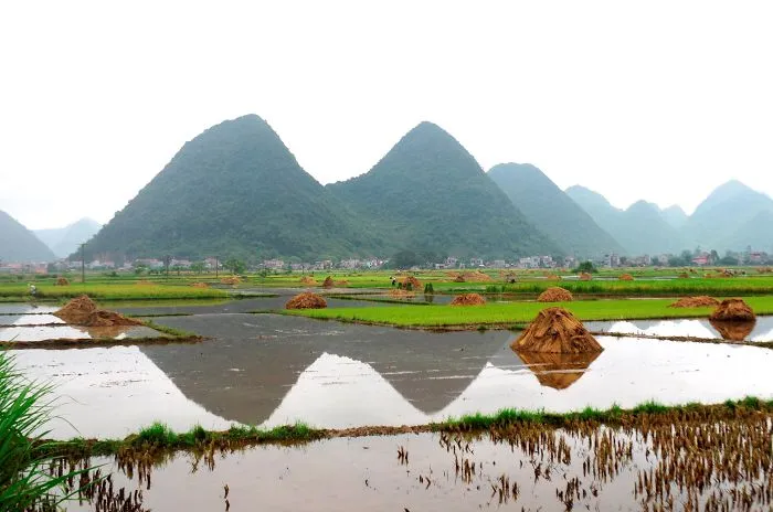 In Vietnam