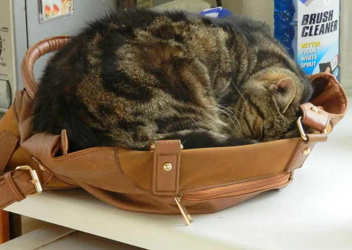 Bagpuss !
