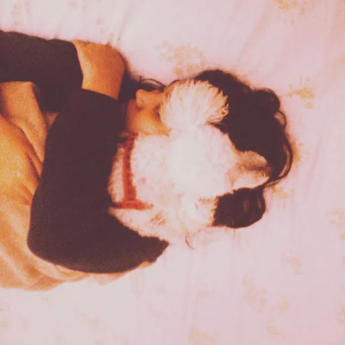 Sleepy Love