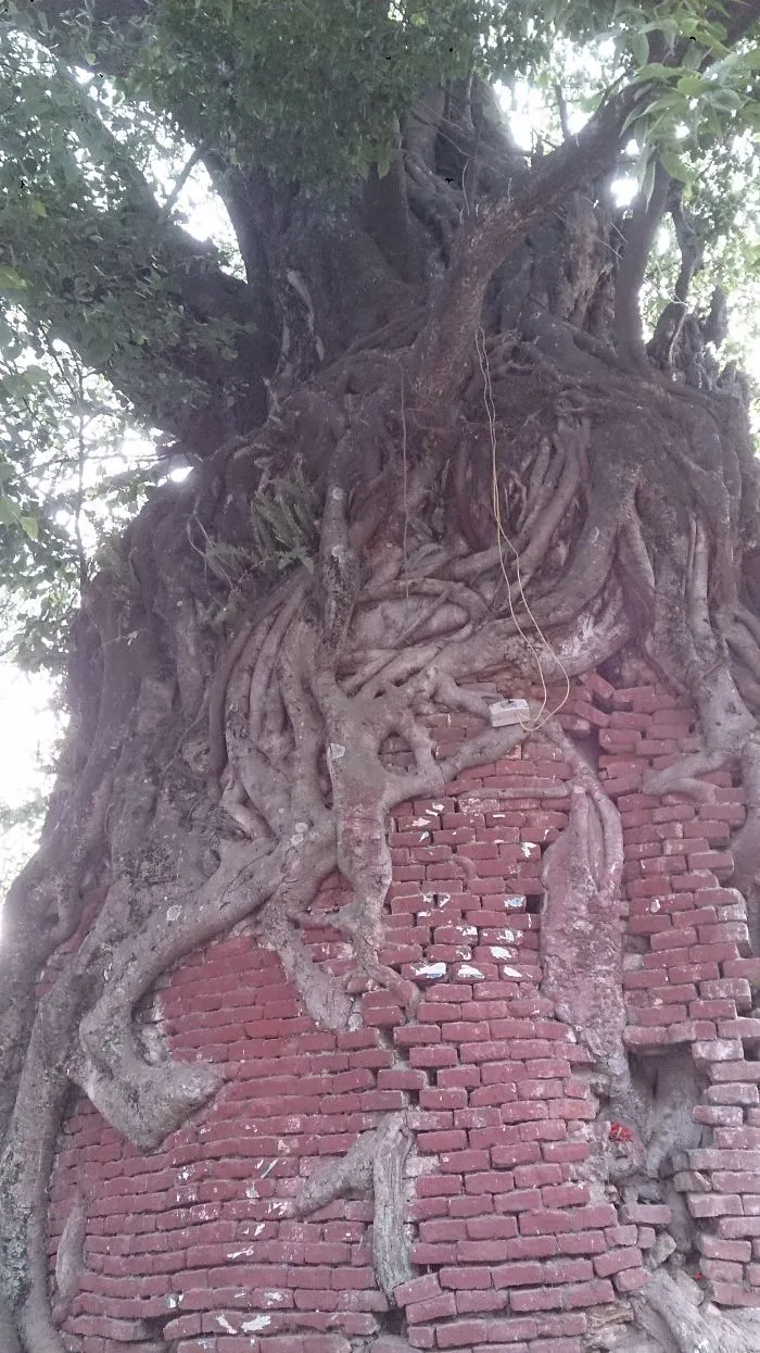 Bhaktapur Nepal