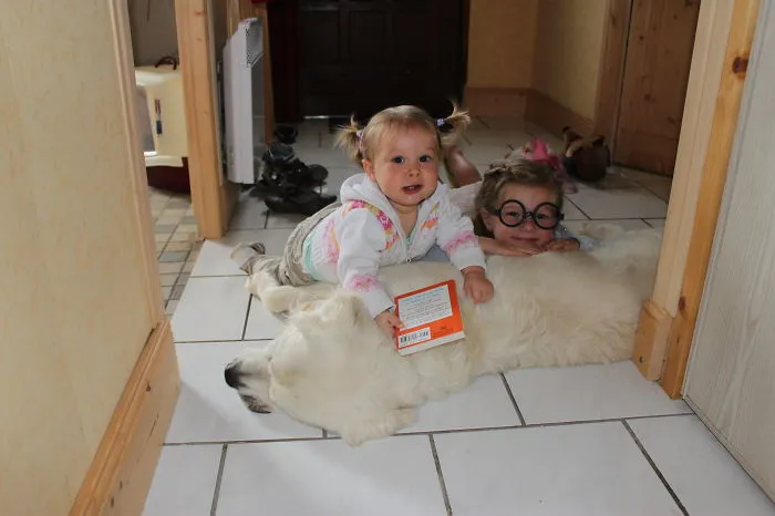 Best Friends