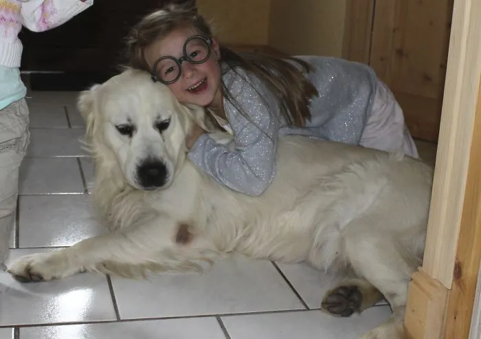 These Have Been Growing Up Together, As The Dog Was 6 Months Old When The Little Girl Was Born.