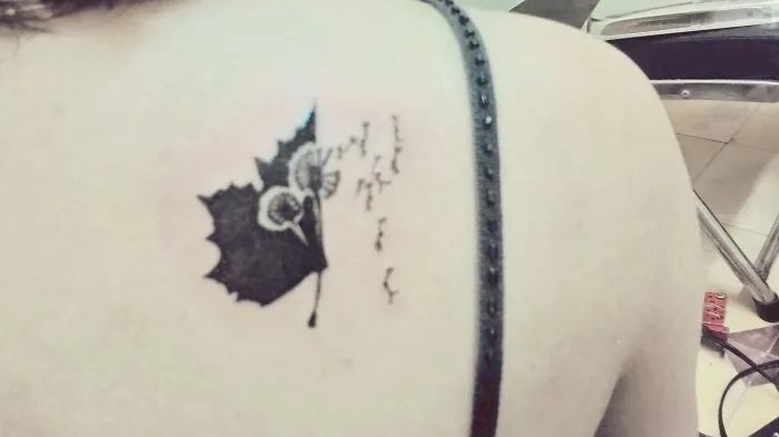 Thanks Omid Asadi For This Ideas (delicate Leaf Cuttings By Omid Asadi)! Love You So Much!!!