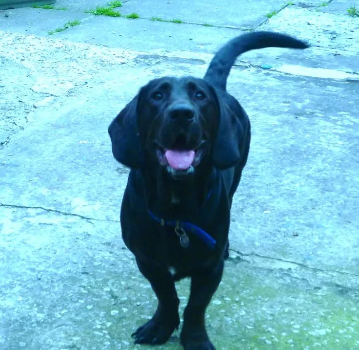 Spencer