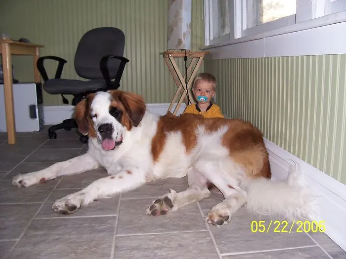 Declan And Crede