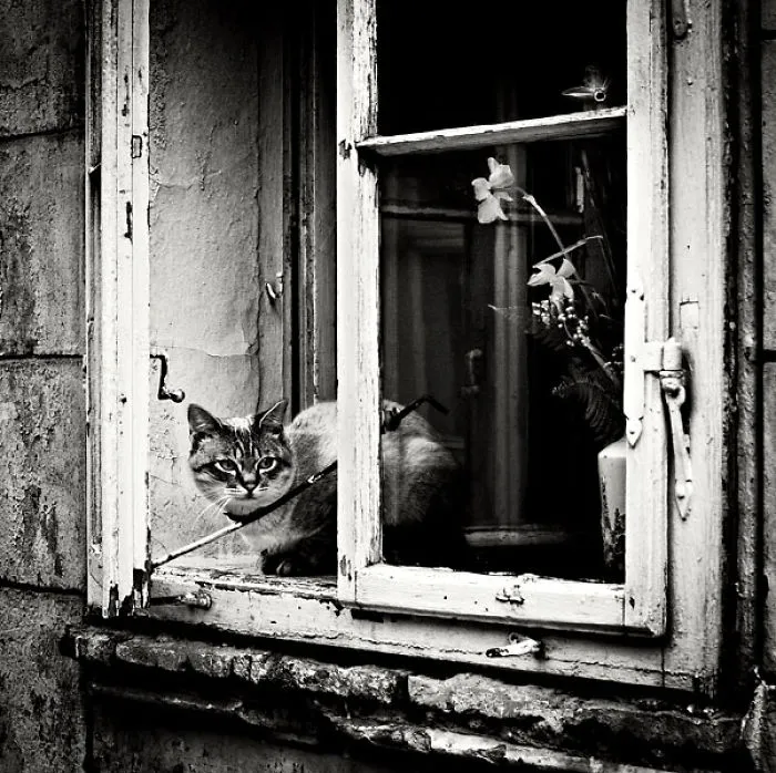 Open Window...